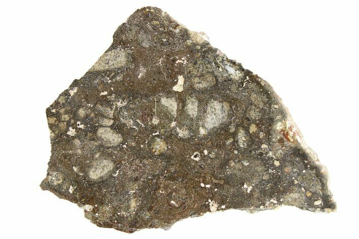 Eucrite Meteorite ( g) Slice - NWA #256141